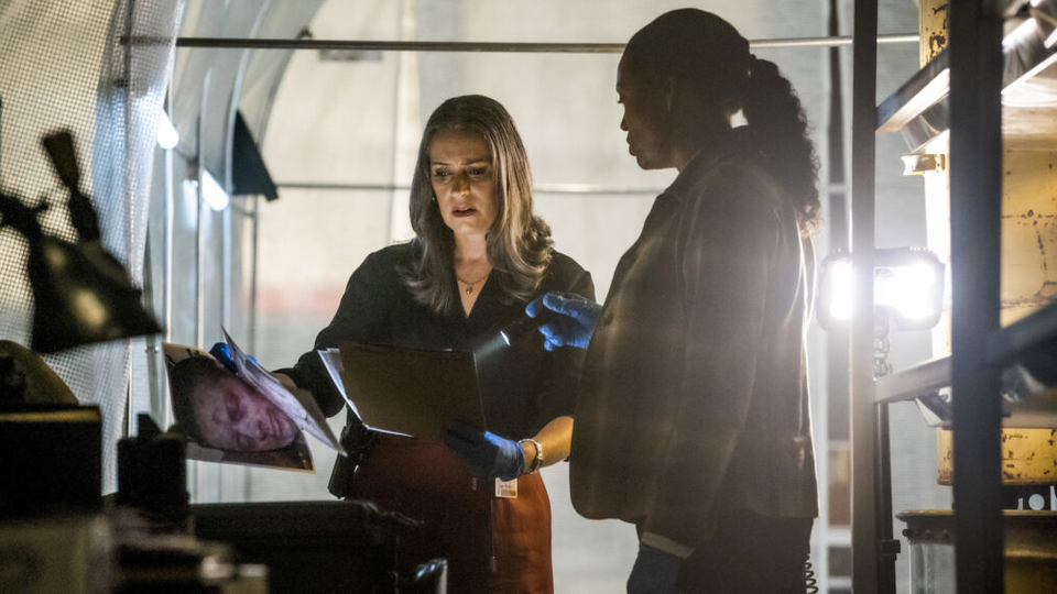 Мыслить как преступник: Эволюция