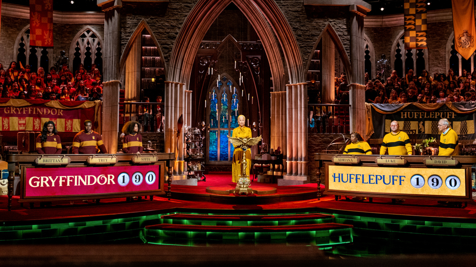 Гарри Поттер: Турнир факультетов Хогвартса