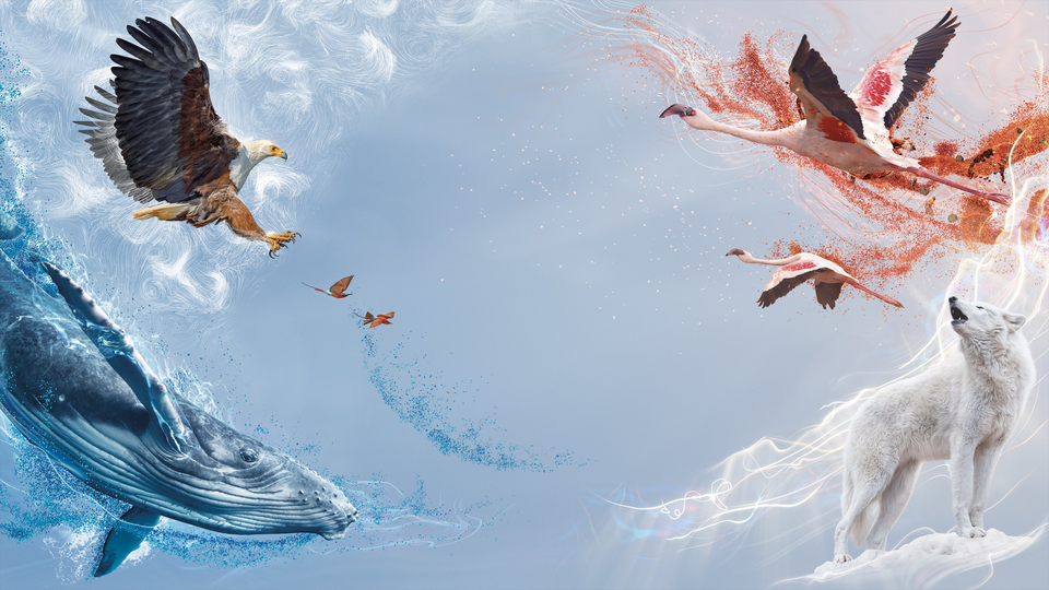 BBC. Идеальная планета