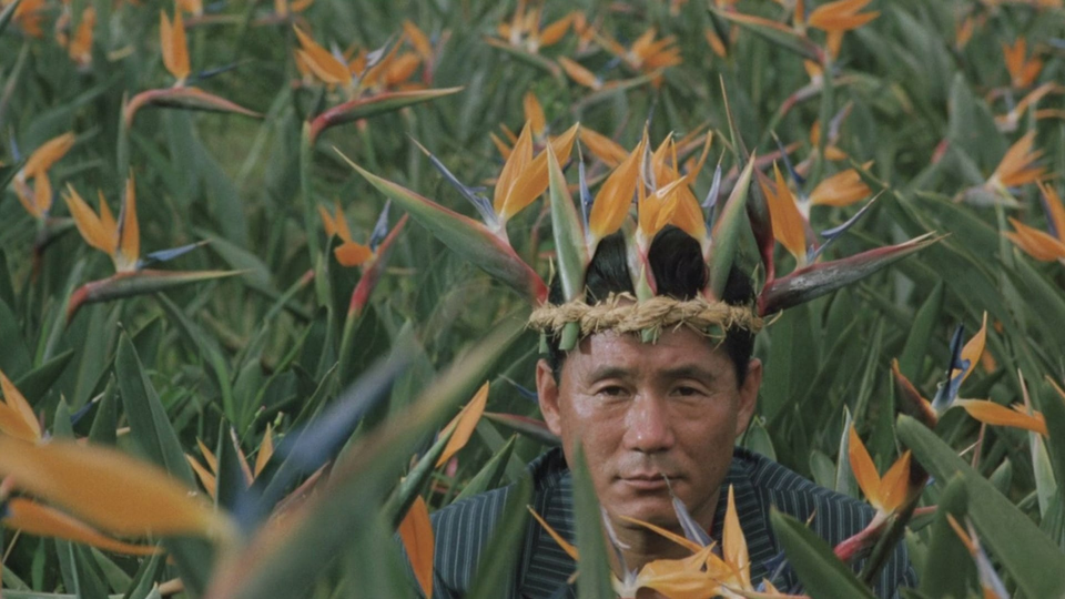 Точка Кипения