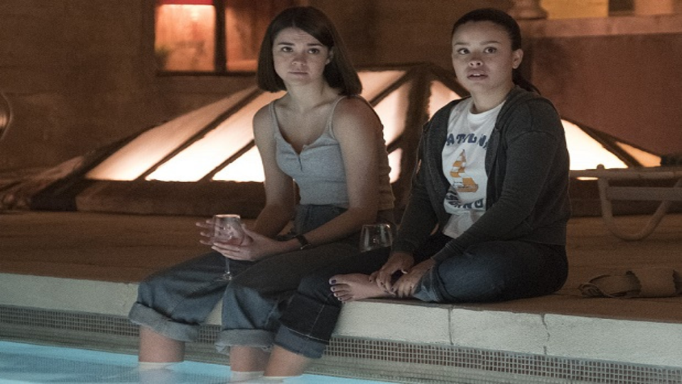 Приятные хлопоты