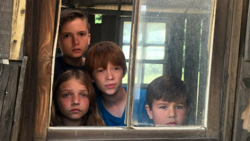 Пушистый переполох