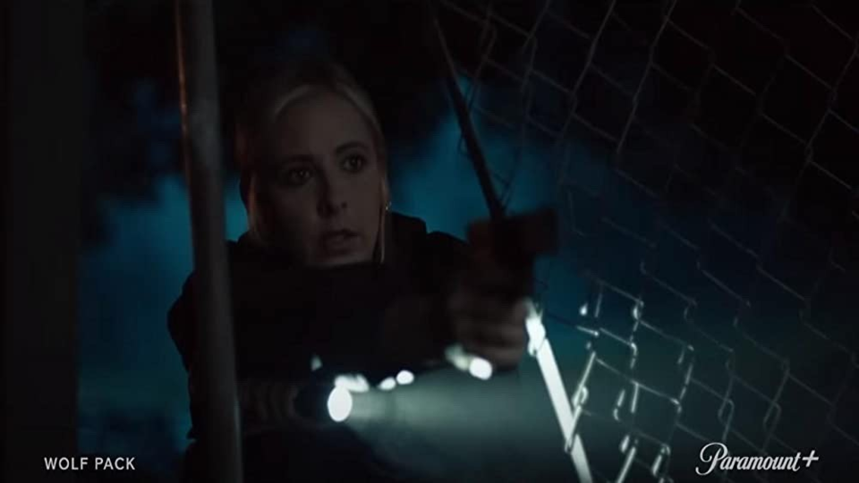 Волчья стая