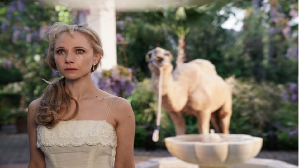 Маленькие пташки