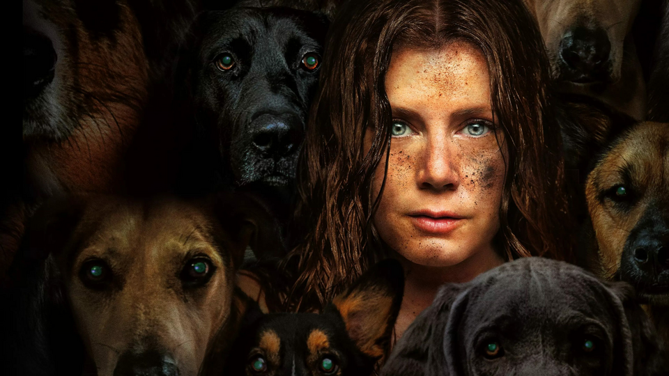 Ночная Сучка