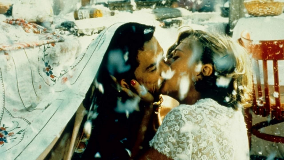 Чёрная кошка, белый кот