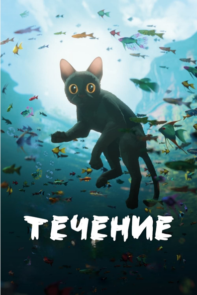 Течение (Поток)
