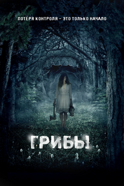 Грибы