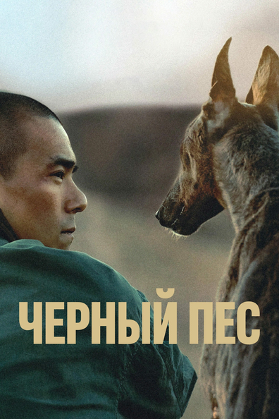 Чёрный пёс