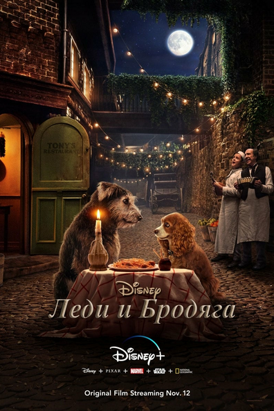 Леди и Бродяга